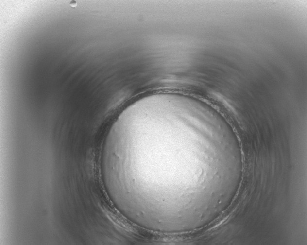 X0000068271403200605051803