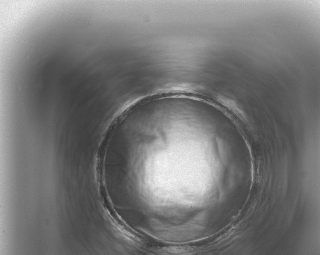 X0000068271404200605051803