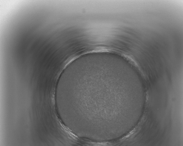 X0000068271409200605051803