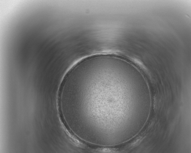 X0000068271412200605051803