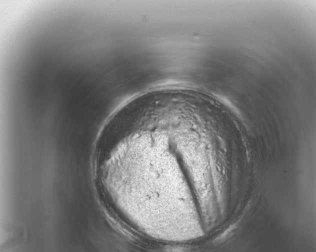 X0000068271413200605051803