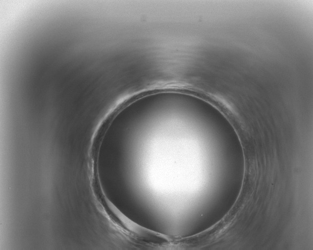 X0000068271414200605051803