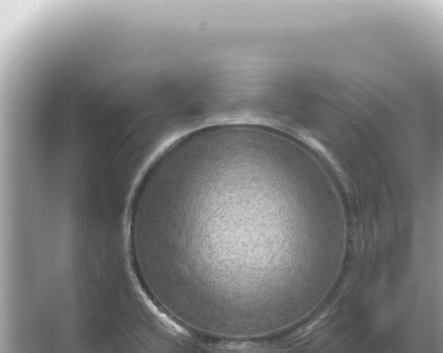 X0000068271416200605051803