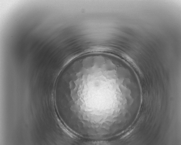 X0000068271417200605051803