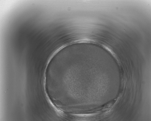 X0000068271418200605051803