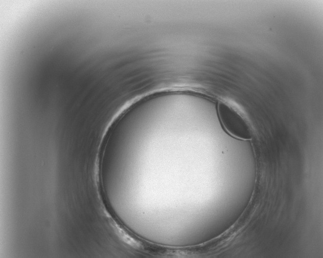 X0000068271420200605051803