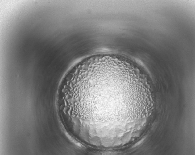 X0000068271421200605051803