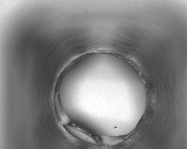 X0000068271422200605051803