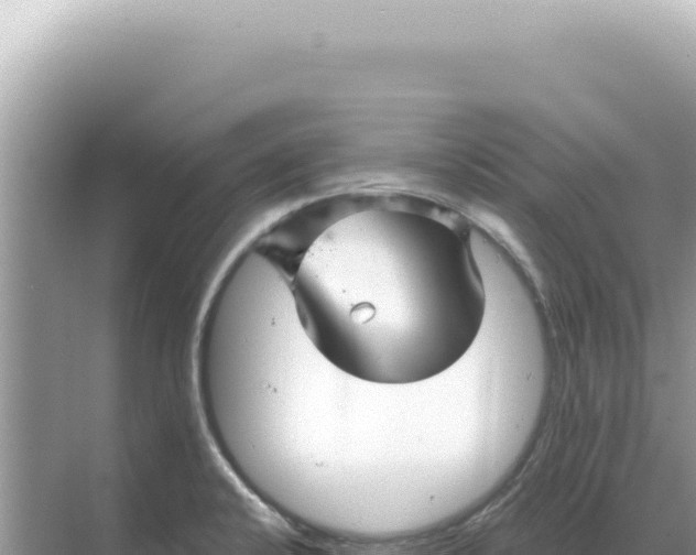 X0000068271424200605051803