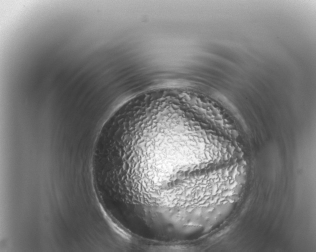 X0000068271425200605051803