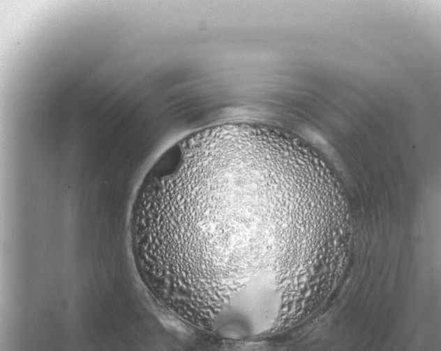 X0000068271427200605051803