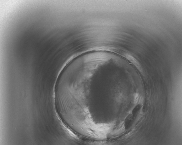 X0000068271428200605051803