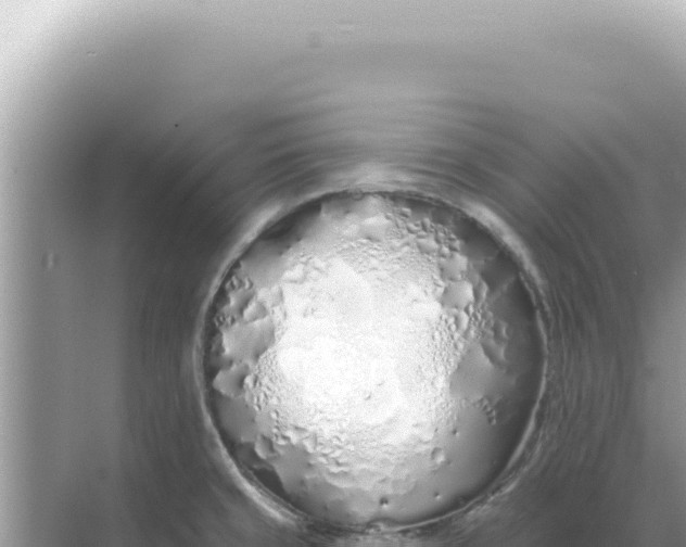 X0000068271429200605051803