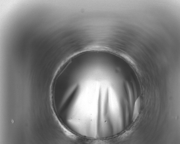 X0000068271430200605051803