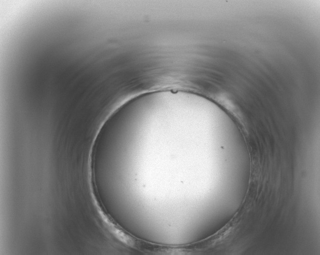 X0000068271431200605051803