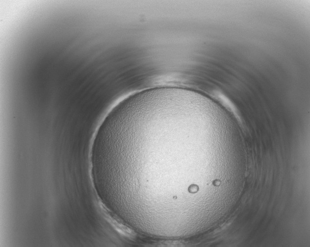 X0000068271435200605051803