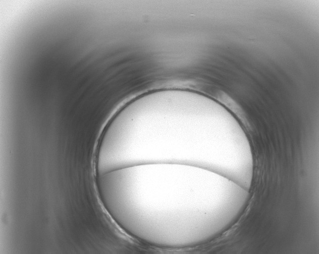 X0000068271436200605051803