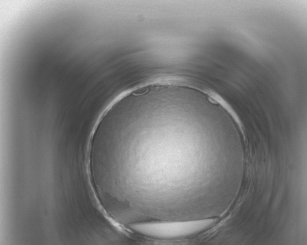 X0000068271437200605051803