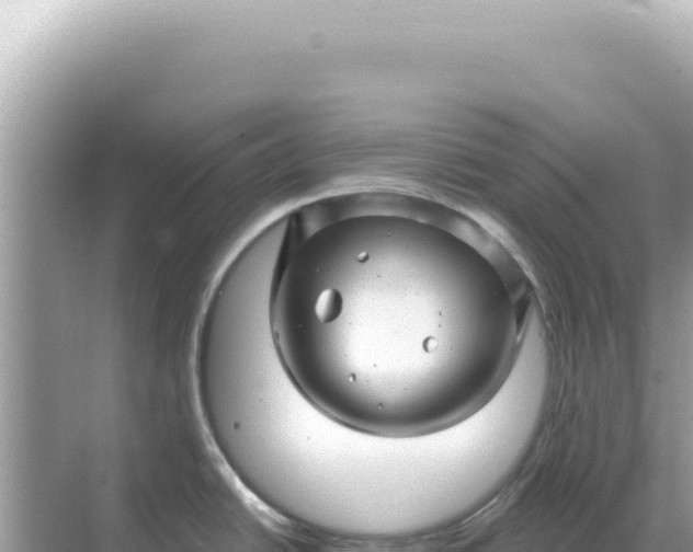 X0000068271438200605051803