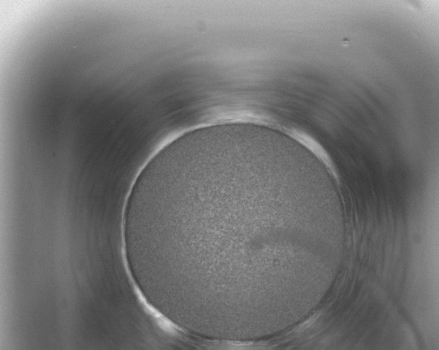 X0000068271439200605051803