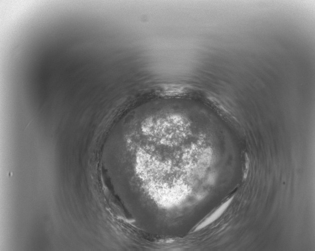 X0000068271441200605051803