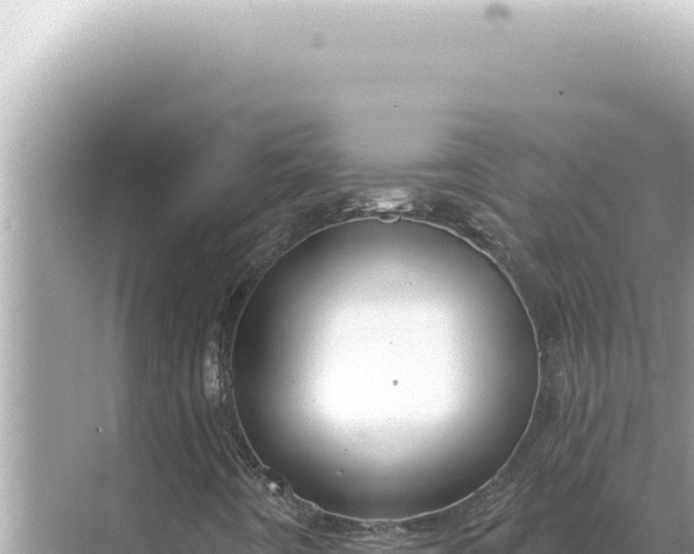 X0000068271442200605051803