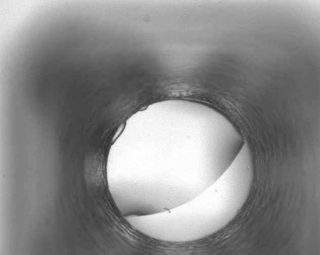 X0000068271444200605051803