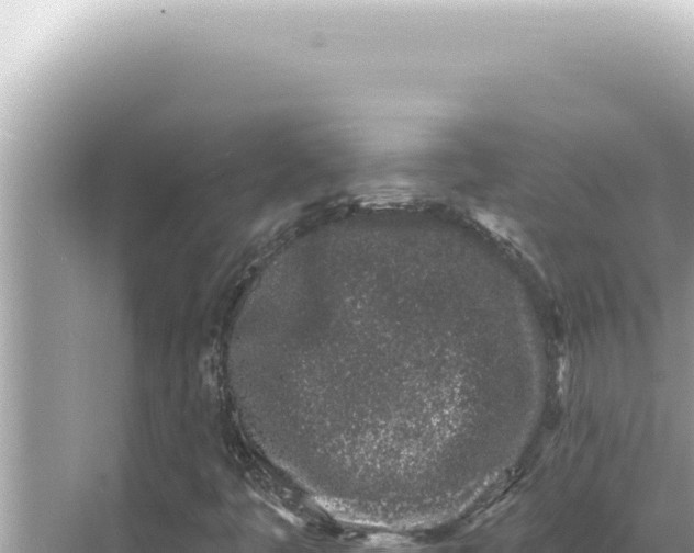 X0000068271445200605051803