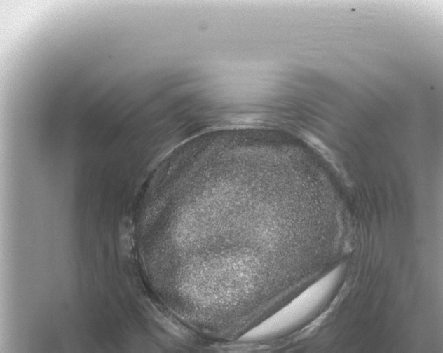 X0000068271449200605051802