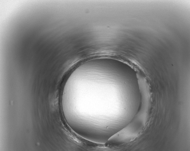 X0000068271450200605051802