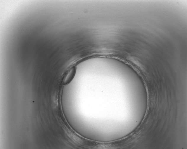 X0000068271451200605051802