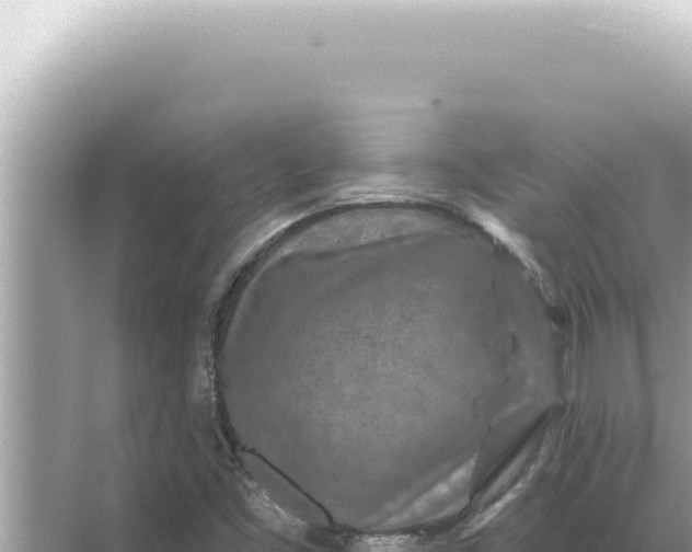 X0000068271453200605051802