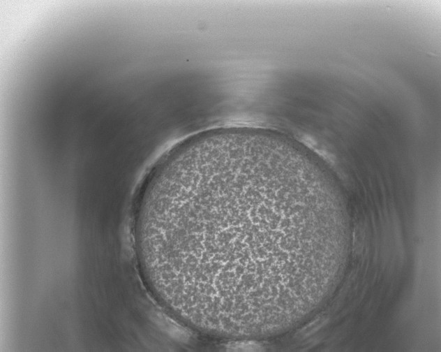 X0000068271454200605051802