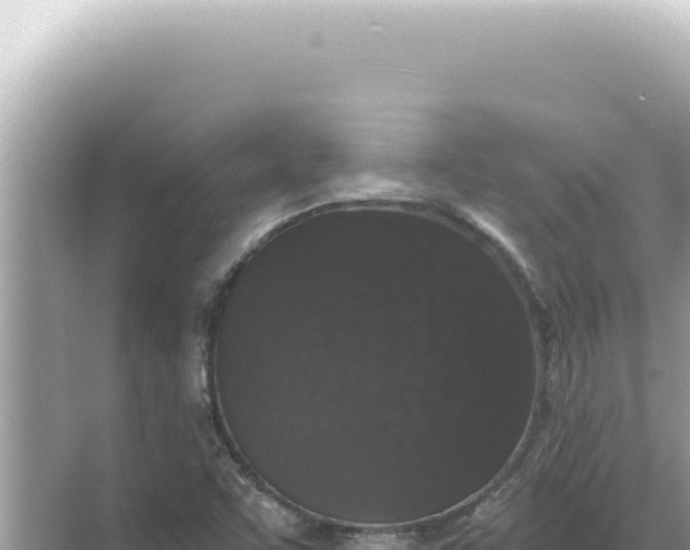 X0000068271455200605051802