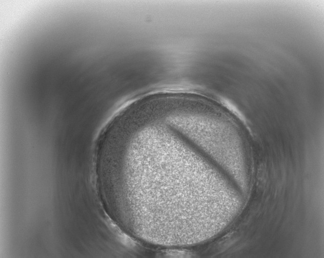 X0000068271456200605051802