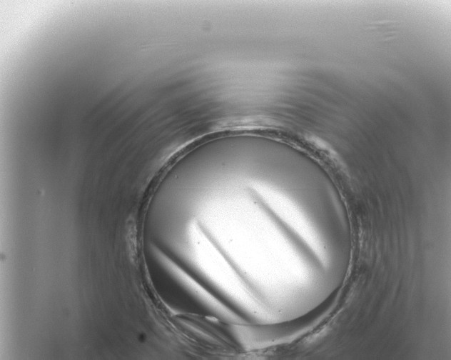 X0000068271457200605051802