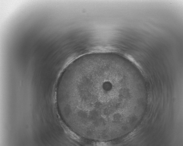 X0000068271459200605051802