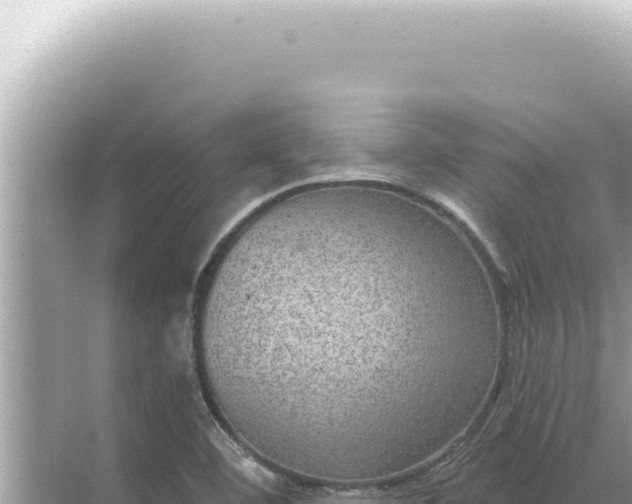 X0000068271460200605051802