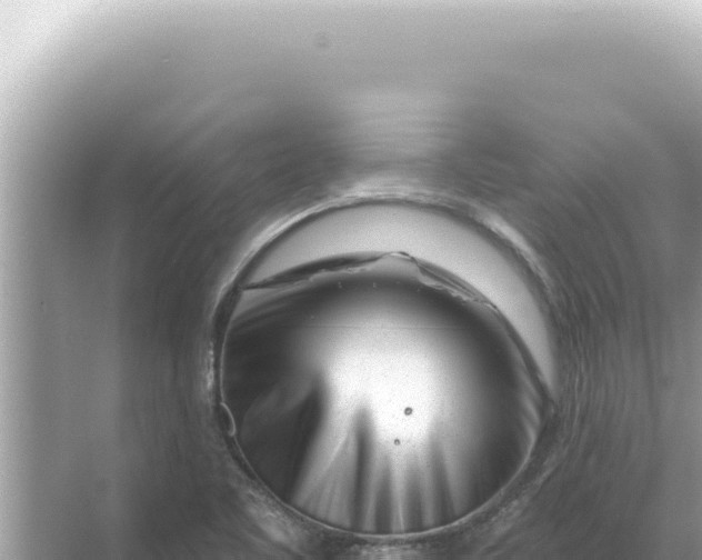 X0000068271461200605051802