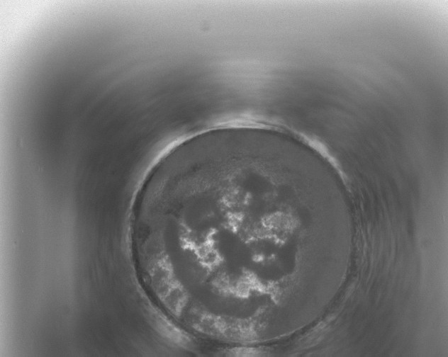 X0000068271463200605051802