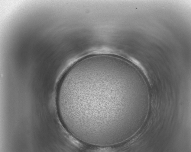 X0000068271464200605051802