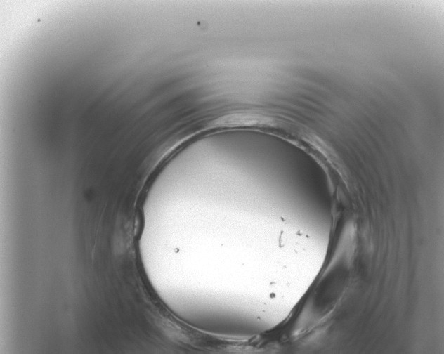 X0000068271465200605051802