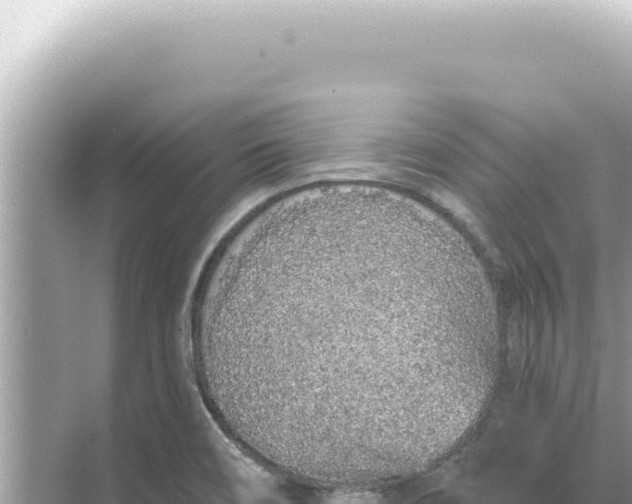 X0000068271466200605051802