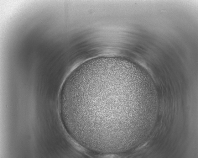 X0000068271467200605051802