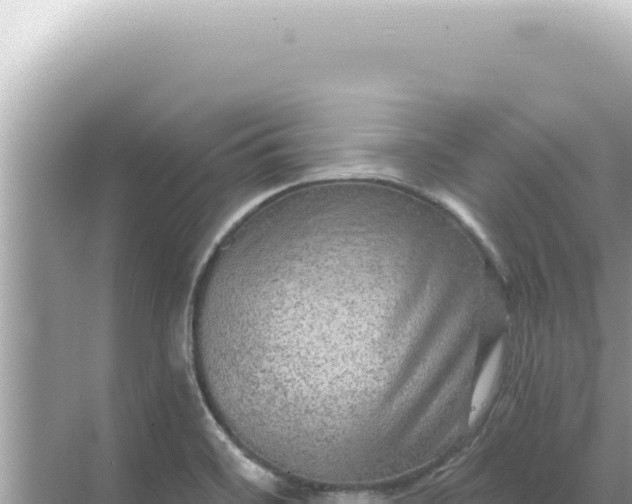 X0000068271468200605051802