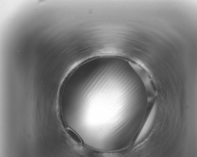 X0000068271469200605051802