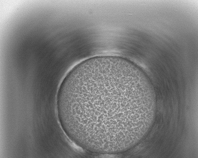 X0000068271470200605051802