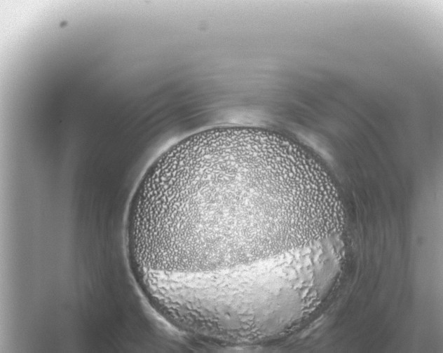 X0000068271471200605051802