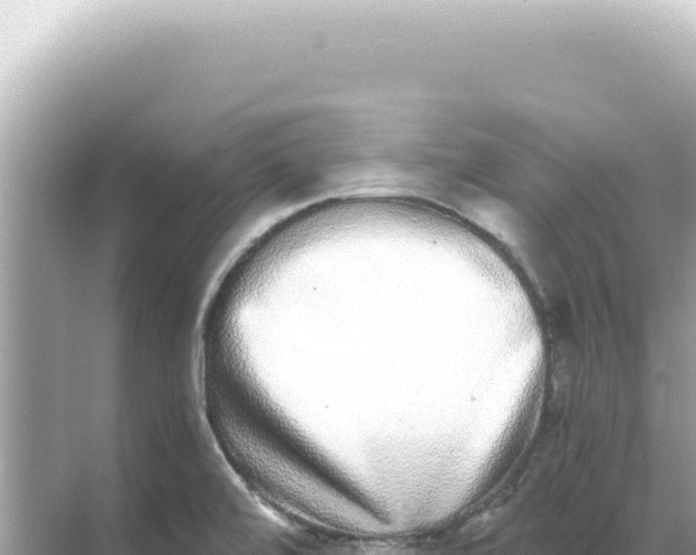 X0000068271472200605051802