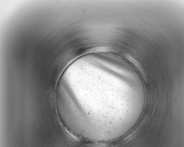 X0000068271473200605051802